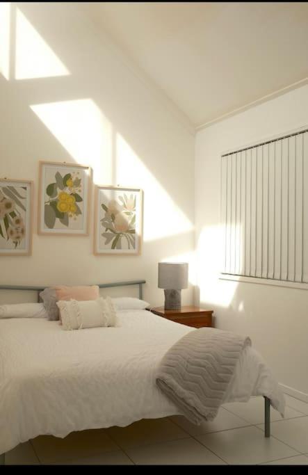 Bawley Point Accommodation Dış mekan fotoğraf